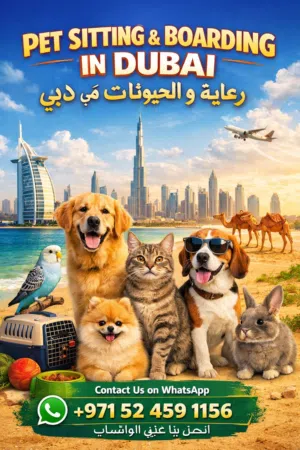 Pet Sitting & Boarding in Dubai /رعاية وإيواء الحيوانات في دبي