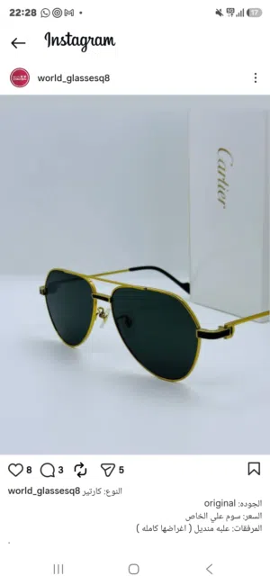 Cartier Aviator Sunglasses