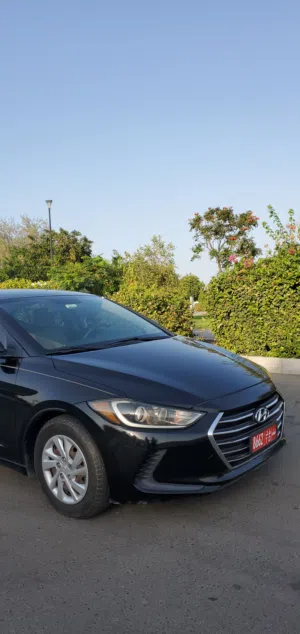 Hyundai . Elantra . Monthly0