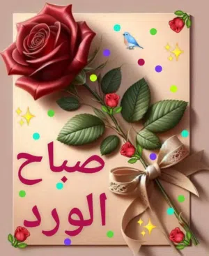 Nora Fathi 