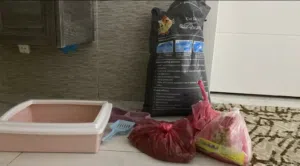 منتجات وادوات للقطط
