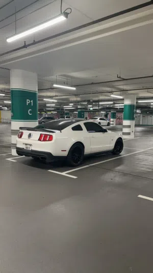 موستنق gt 4.6