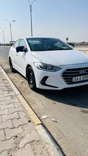 Used Hyundai Elantra in Basra