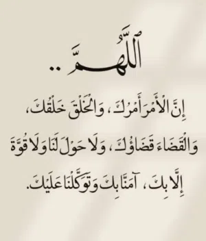 ابحث عن سكن غرفه او استديو او شقه صغيره