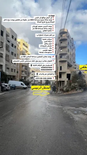 حمزة ابو غضيب