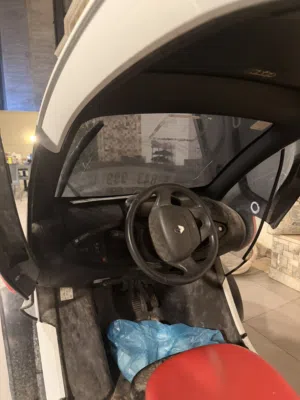 رينو تويزي