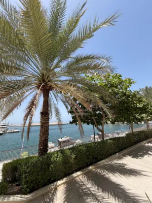 شقة راقية في مرسى 2 الموج بإطلالة بحرية Elegant Apartment in Marsa 2, Al Mouj / Sea View