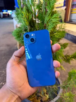 Apple iPhone 13 128 GB in Mansoura