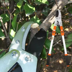 مقص شجر للبيع 115with deliveryشامل التوصيل