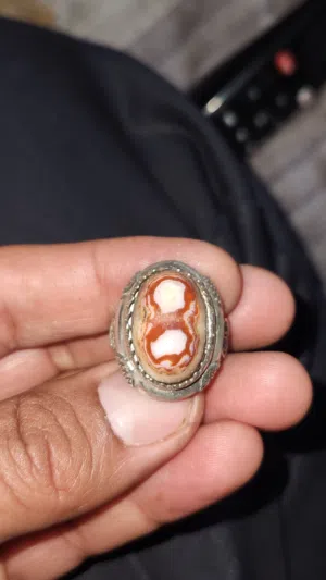 خاتم داوودي سنام الجمل