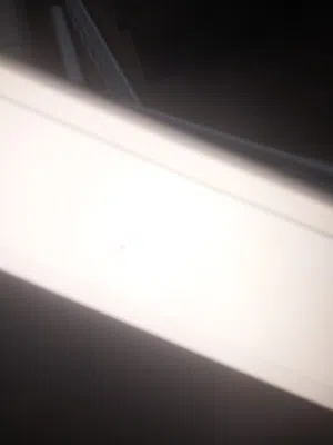 اباجورات زيبرا بحال الوكالة شغل معرض اشبيليه