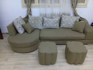 عدد 2 صالون درجة اولي للبيع بسعر كزيوني