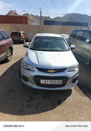 مصطفى محيسن 