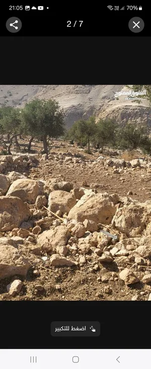 Mixed Use Land for Sale in Ajloun Other