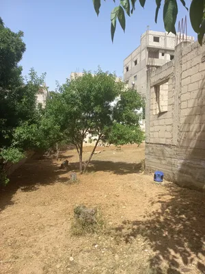 منزل للبيع بيت مستقل   في العلكوميه قريب  مسجد ابو بكر. كوشان مشترك مكون 2غرف نوم صالون حمام مطبخ  ز