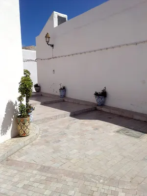 More than 6 bedrooms . 2 Bathrooms . 113 m21