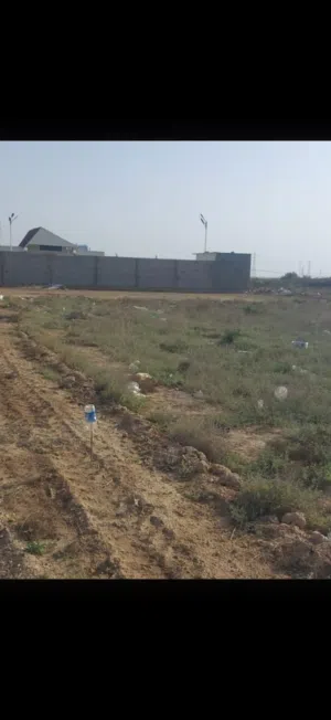 ارض سند 25بليوسفيه