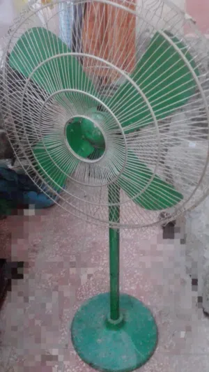 Rent a fan for gatherings مروحة عادية للإيجار