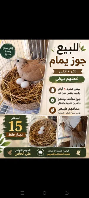 يمام للبيع او البدل على كنار