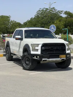فورد F150 RUCH