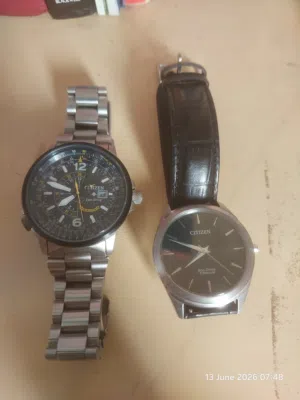 Citizen promaster blue angels and citizen titanium stilleto