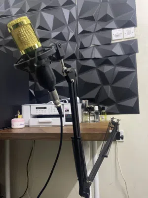 ميكرفون ( مايك قابل للتفاوض ) للبي سي + يشبك على القير