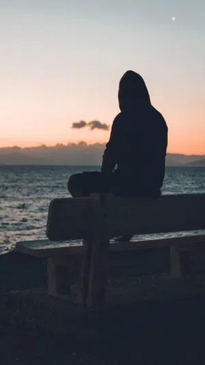 العنكبوت 