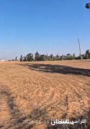 ارض لي الايحار