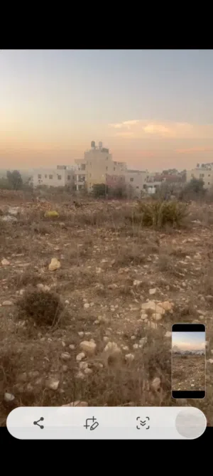 ارض للبيع في  ديرابزيع مساحه دونم  و200 صالحه للبيناء اسكان