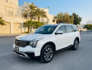 Zero accident GAC GS8 2019 for sale affordable price