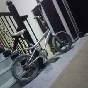 كوبرا مقاس 16