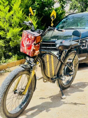 دراجه كهربائيه 3000W T