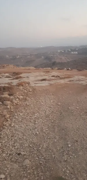 ‏سكنية ‏.‏ 350 م٢ ‏.‏ الوسيط‏2