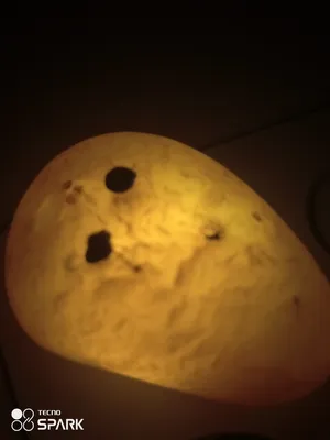 ‏نوادر‏2