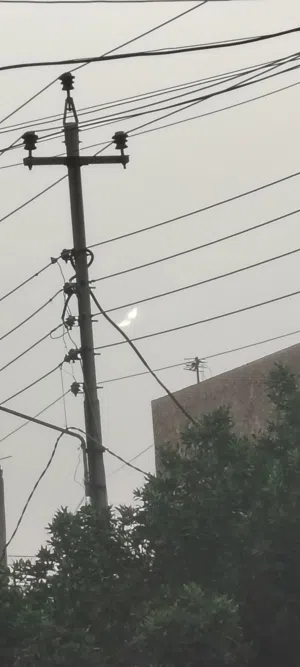 يونس يونس 