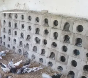 قنون حمام بلوك