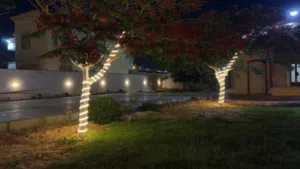 270 m2 4 Bedrooms Villa for Rent in Benghazi Al Hawary