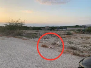 ارض مميزه للبيع في غور الراما الموقع في التفاصيل