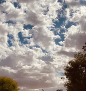 موسى 