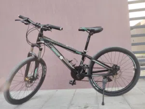 The brand of the bicycle is GMINDI. The tires are made by the brand CST.