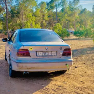 صالح الترهوني 