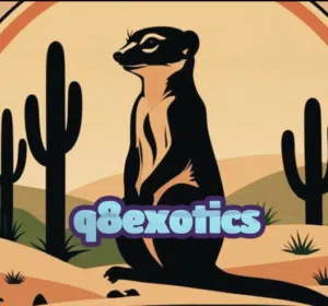 q8exotics 
