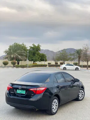 Used Toyota Corolla in Al Batinah