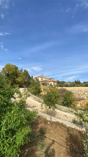 Farm Land for Sale in Jerash Al-Kittah