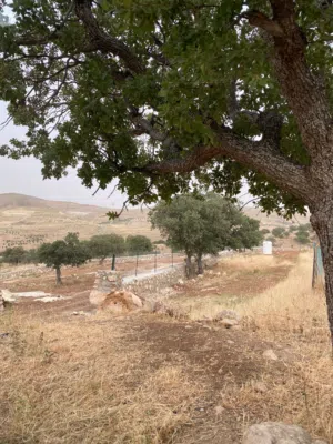 Mixed Use Land for Sale in Zarqa Al-Alouk