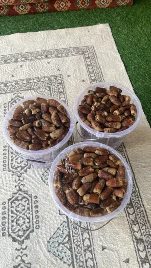 سح نغال شغل بيت سح بلاد الوزن تقريبن 3 إلى 4 كيلو