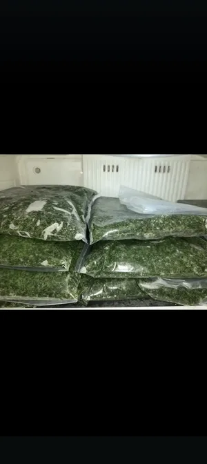 ‏طبخات جاهزة	‏0