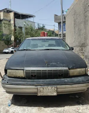 دولفين رقم بغداد تسقيط