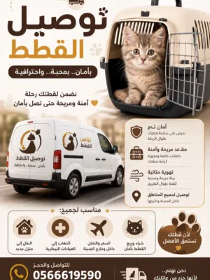 خدمة توصيل القطط الى جميع أنحاء الإمارات