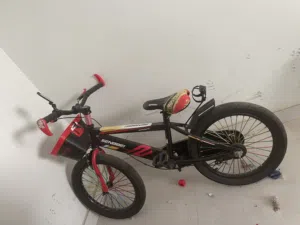 Bike size 20